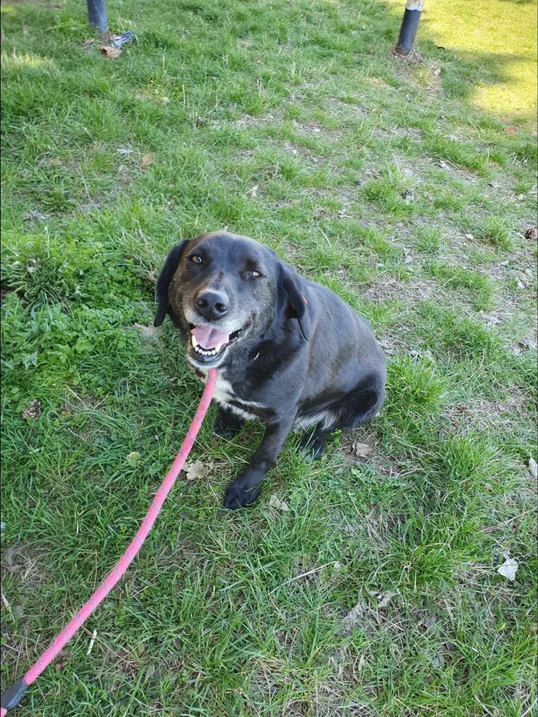 Charlie