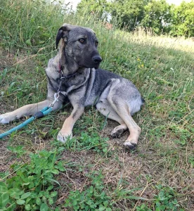 Ares <3