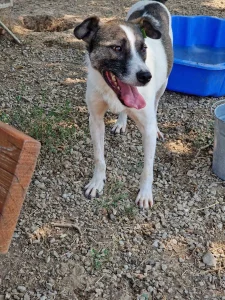 Zeus