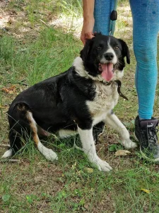Rocky