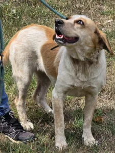 Tutti <3