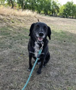 Charlie