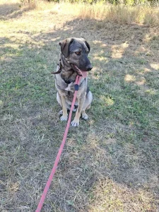 Ares <3