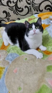 Beni