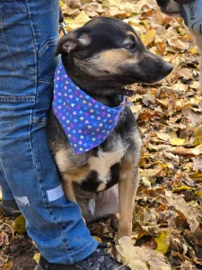 Kira