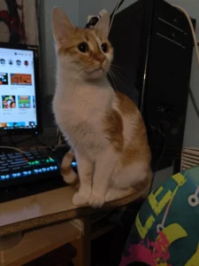 Angie