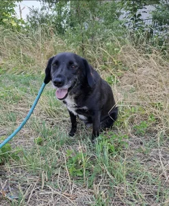 Charlie