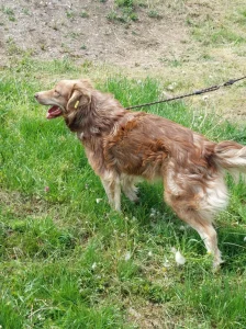 Patch