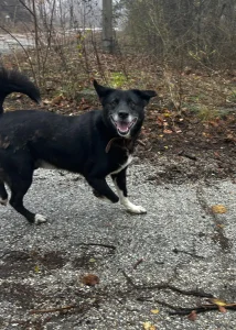 Sammy