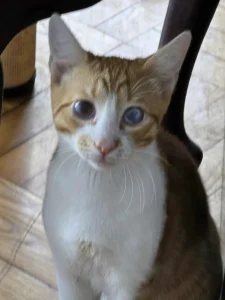 Harry