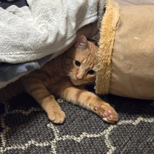 Rusty