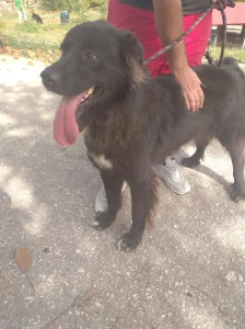 Spartak