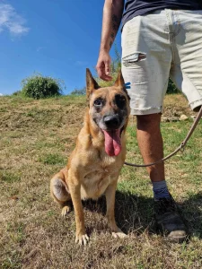 Ruby alias "16"