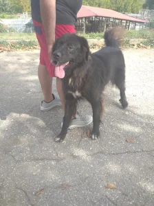 Spartak
