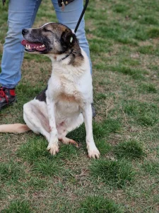 Zeus