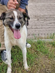 Zeus