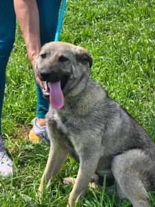 Ares <3