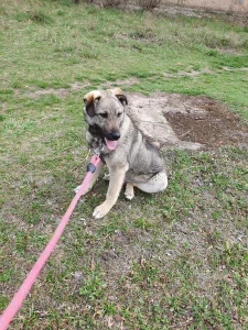 Ares <3