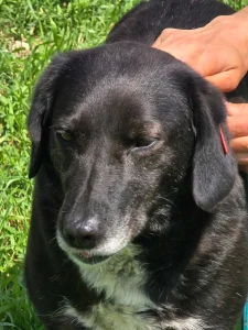 Charlie