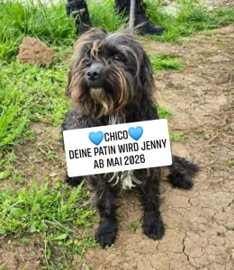 Chico