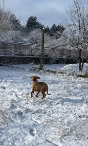 Gabby