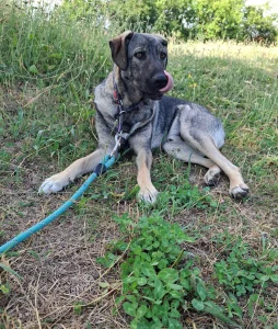 Ares <3