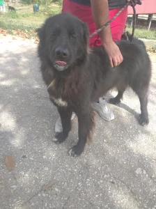 Spartak