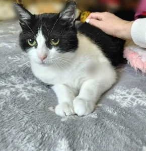 Beni