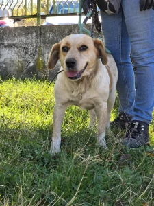 Tutti <3
