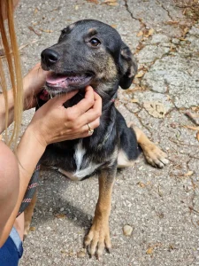 Kira