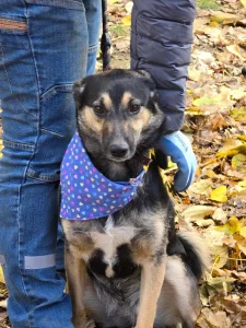 Kira