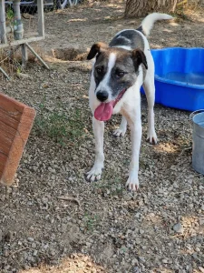 Zeus