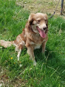 Patch