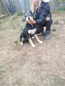 Mowgli
