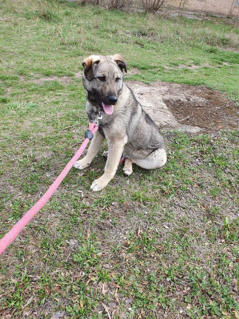 Ares <3