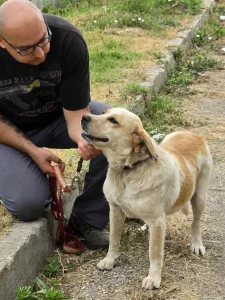 Tutti <3