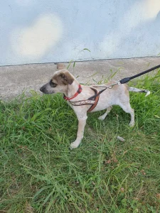 Mia