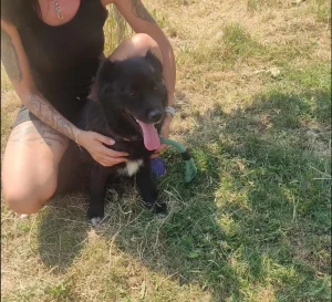 Jessie