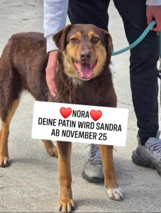 Nora