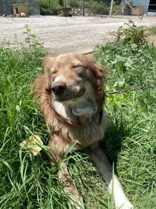 Patch