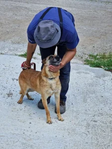 Ruby alias "16"