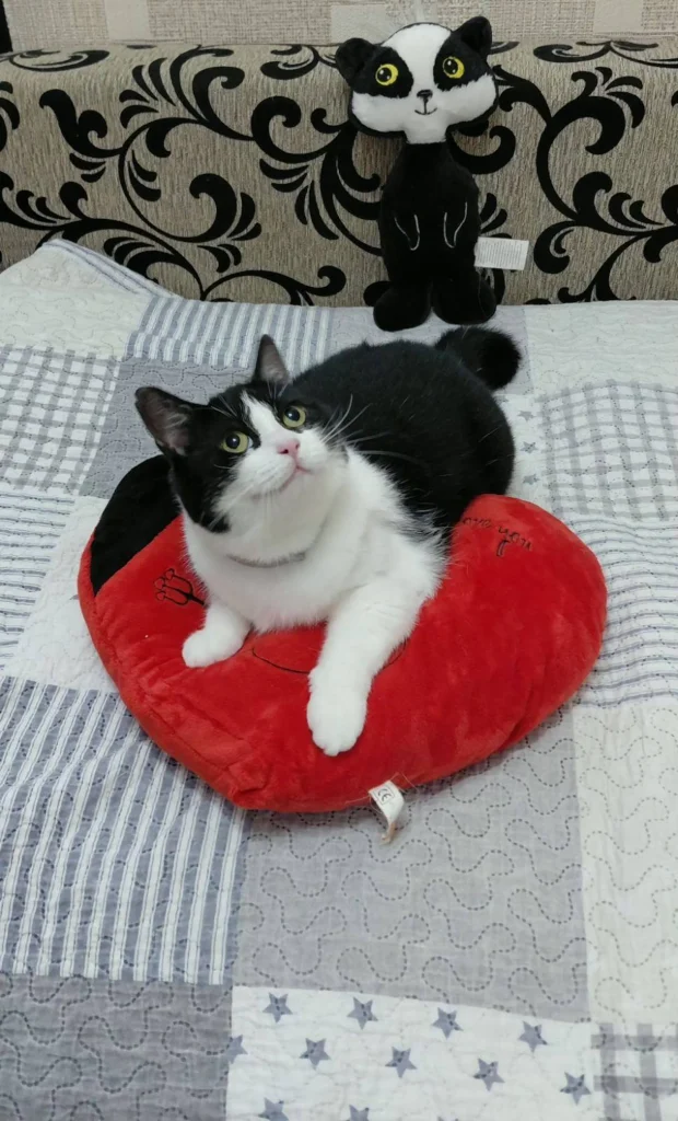 Beni