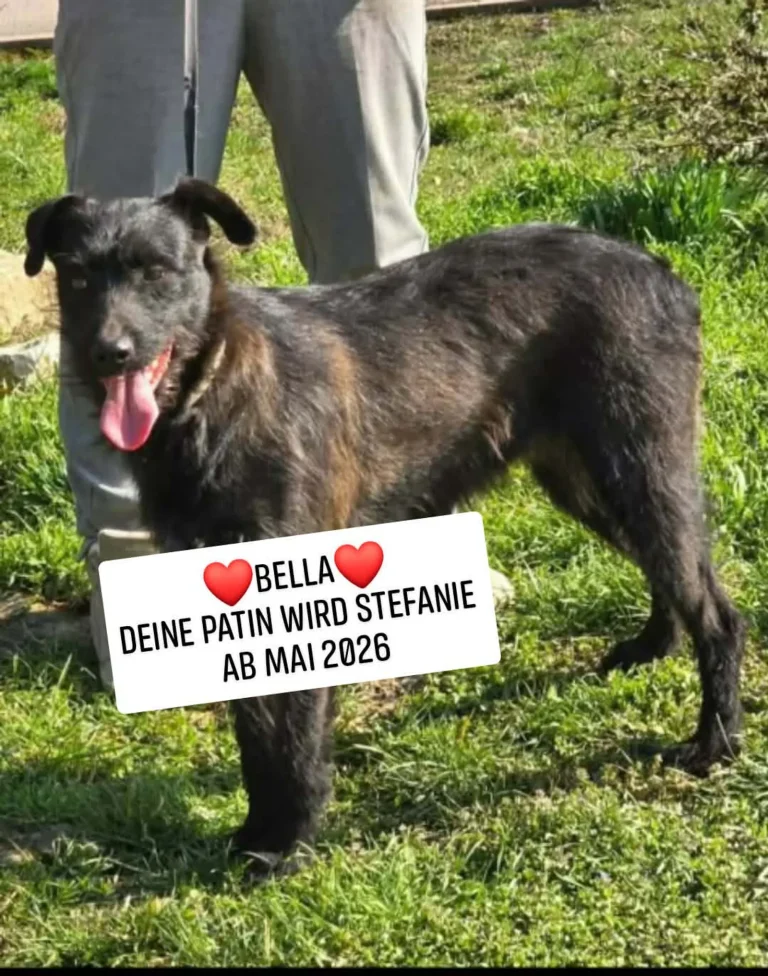 Bella