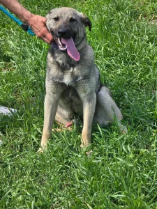 Ares <3