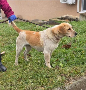 Tutti <3
