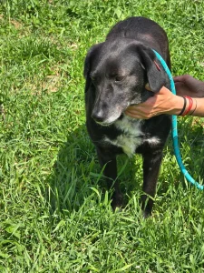 Charlie