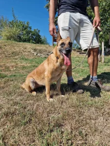 Ruby alias "16"