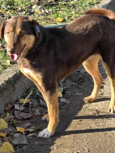 Nora