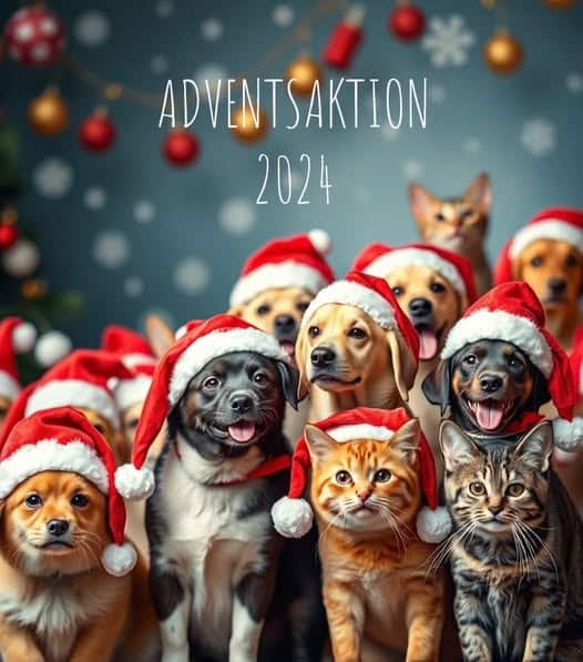 Adventsaktion 2024