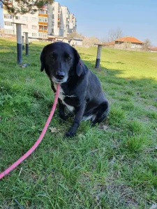 Charlie